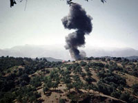 Feux de forêt ,250 hectares ravagés par les flammes à Bouira