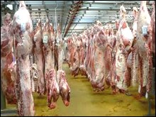 Importation de 35.000 tonnes de viande congelée depuis janvier