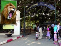 Jardin d’essais du Hamma Se requinquer en plein cœur d’Alger