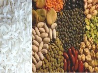 Le riz et les légumes secs disponibles au niveau des CCLS (OAIC)