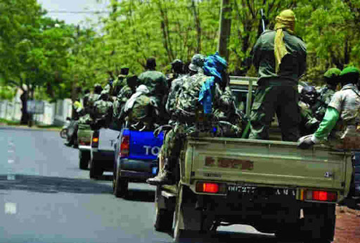 Les frontières algéro-maliennes en alerte maximale, Les scénarios d&rsquo;une intervention étrangère