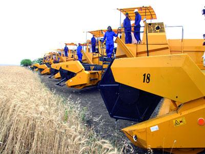 Les importations de blé en chute de 33%