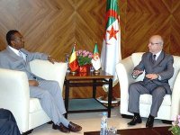 M. Medelci s’entretient avec le ministre malien des Affaires étrangères