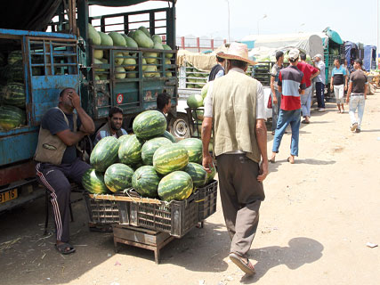 Politique de maîtrise des prix et de sauvegarde du pouvoir d’achat, Les 74 propositions de l’UGTA et du Cnes