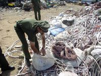Tlemcen, 70 km de câbles électriques volés en 2011
