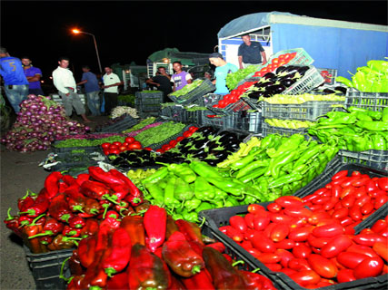 Virée au marché des fruits et légumes de Rovigo, Le gros dans le détail…