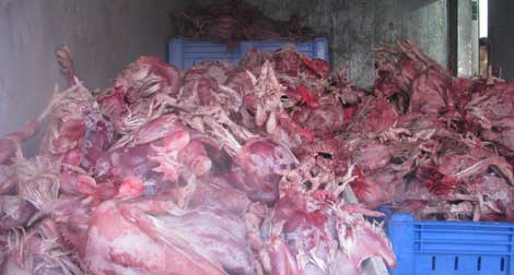 500 milliards de DA de pertes à cause des coupures d’électricité