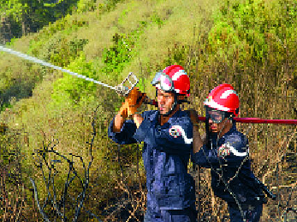Algérie: près de 21.000 hectares brûlés par des incendies