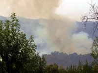 Alors que les flammes ravagent les forêts,On étouffe dans les communes de Béjaïa