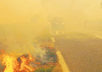 France : un enfant «allume» le plus important incendie de l’année !