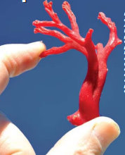 Gendarmerie nationale,500 g de corail, 120 flacons de médicaments et 7000 sachets de tabac à chiquer saisis