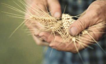 Mise en œuvre de réformes dans le secteur agricole