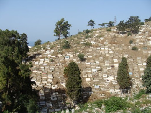Opération d&rsquo;entretien et d’embellissement des cimetières d&rsquo;Alger
