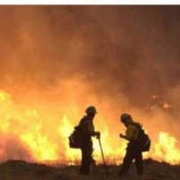 Plusieurs bases pétrolières touchées, 1 200 hectares de couvert végétal ravagés… Au feu !