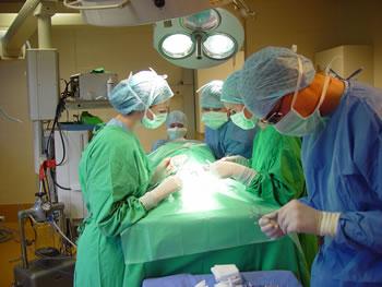Transplantation d&rsquo;organes en Algérie,Plus de 970 greffes réalisées en 2011