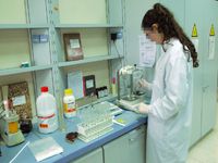 Une enquête de l’ONS le révèle, Plus de femmes sur le marché du travail