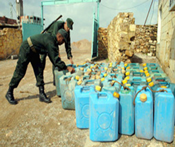 Algérie ; 4864 litres de carburant et 150 ovins volés récupérés