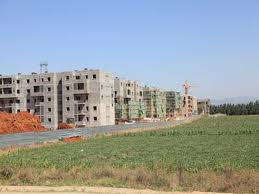 Des terres agricoles affectées à la construction des logements