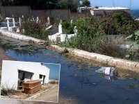 Entretien des cimetières; Même les morts reposent dans des lieux pollués