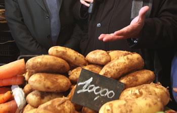 Importation prochaine de la pomme de terre,Une action préventive