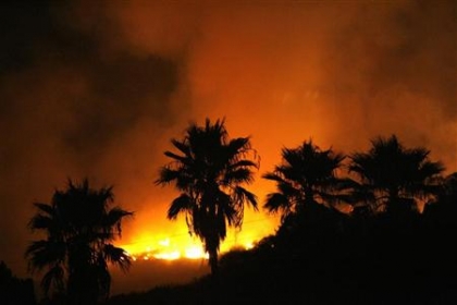La fédération nationale des travailleurs des forêts accuse les affairistes ,Feux de forêt : halte à “la terre brûlée”