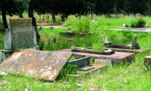 Quelque 200 cimetières en voie de réhabilitation dans plusieurs wilayas de l’Est du pays
