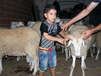 Aïd El-Adha, Les enfants, ces décideurs