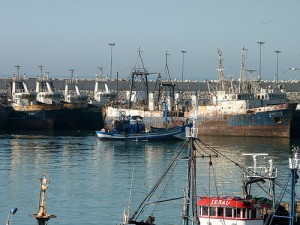 Algérie – 355 millions de DA pour la réalisation d’une opération de dragage du port de Ténès