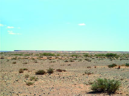 Alors que les émiratis repeuplent la réserve d’outardes à El-Bayadh ,Le camp de chasse “secret” des Qataris