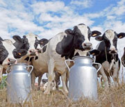 Béjaïa ,2e Salon de l’élevage