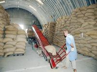 Bilan de l’activité agricole durant les 4 dernières années, Une croissance annuelle moyenne de 13,75%