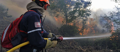 Bilan des incendies,60 000 arbres fruitiers ravagés