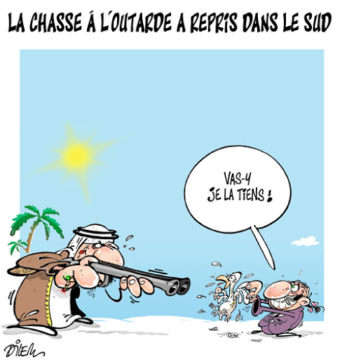 La chasse à l&rsquo;outarde a repris dans le sud