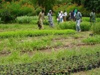 L’Afrique s’inquiète des risques des investissements fonciers à grande échelle