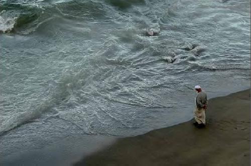 L’Algérie face aux enjeux environnementaux avec une stratégie intégrant le développement durable