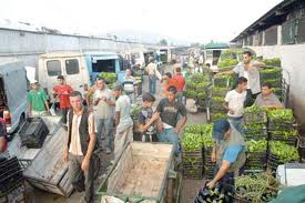 Les 5 projets nationaux de marchés de gros localisés