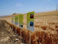 Les agriculteurs déterminés à couvrir les besoins nationaux