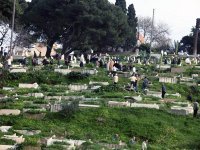 Nettoiement des cimetières La Protection civile s’implique