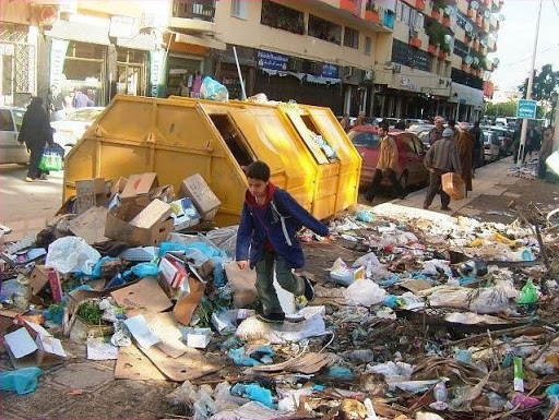 Ordures ménagères à Alger : l’Etat promet de régler le problème d’ici 10 ans