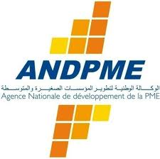 Plus de 800 PME concernées par la mise à niveau à fin 2012