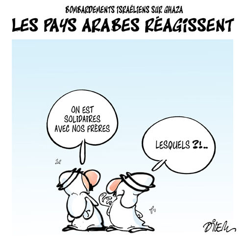 Bombardements Israéliens sur Ghaza,les pays arabes réagissent