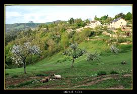 Crash d’un avion militaire algérien en France