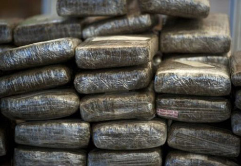 Maghnia ,Saisie de 100 Kg de kif traité à 30 mètres du tracé frontalier