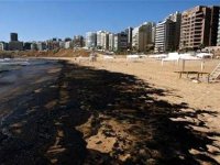 ONU, Adoption d’une résolution de l’Algérie sur la marée noire provoquée par Israël au Liban