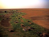 Symposium international sur la gestion durable des parcours steppiques du 4 au 9 novembre à Djelfa