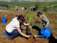 1,5 million d’arbres à planter à partir du 8 décembre