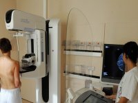 3000 femmes sur 9000 dépistées annuellement meurent du cancer du sein en Algérie