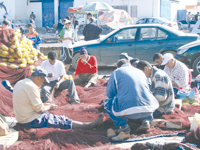 5 tonnes de poisson y transitent par jour, Voyage au cœur de la pêcherie d’Alger