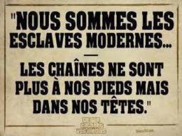 Algérie : les chasseurs de la vérité