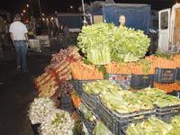 Bilan de la politique du renouveau agricole,Une large marge de progression à accomplir